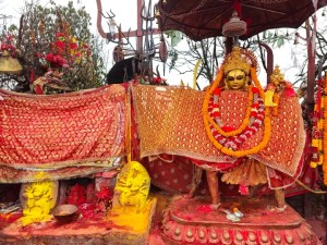 पाथीभरा माताको दर्शन गर्नुहोस् अनि पढ्नुहोस् राशीफल, आजको दिन तपाईका लागि कस्तो छ ?