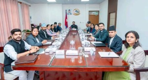 वालेन सरकारले गठन गर्यो सम्पत्ति जाँचबुझ आयोग, कहिलेदेखिको हुन्छ छानबिन ?