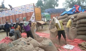 नौ महिनामा ७० करोड बढीको जडिबुटी नेपालगञ्जबाट बाटो लाग्यो