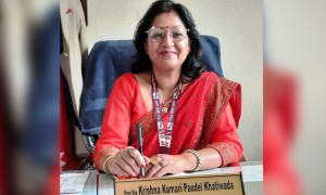 महिला आयोगकी सदस्य खतिवडाले आफैलाई आफैंले तोकिन् कार्यवहाक अध्यक्ष 