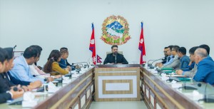 प्रधानमन्त्री वालेन्द्रले बागमती प्रदेशका सांसदसँग गरे छलफल