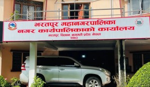 भरतपुरका भएभरका ठूला योजना केन्द्रीय बजेट भित्रै परे