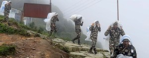 पाथीभरा क्षेत्रमा वृक्षरोपण अभियान सुरु