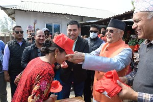 चिया बगानका ३५० बढी मजदुरलाई ओलीले एमालेमा भित्र्याए