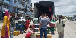सुनसरीमा आँप उत्पादन  घट्यो
