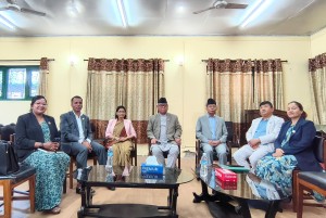 भए भरका विपक्षी दललाई किन चाहियो संसदीय विशेष समिति ? 