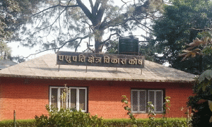 सबैलाई सोत्तर पार्दा अध्यादेशको ‘कोशी’ले पशुपतिका जोशीलाई किन बगाएन ?
