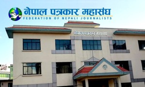 निर्वाचन प्रक्रियामा जान पत्रकार महासङ्घलाई  पूर्वसभापतिहरुकोे अपिल
