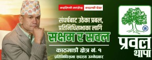 थापागाउँका रैथाने कांग्रेस उम्मेदवार प्रबल थापाले नयाँ भन्नेलाई फर्काए यस्तो जवाफ