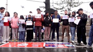 झरीकै बेला जेनजी आन्दोलनको प्रतिवेदन माग्दै युवा सडकमा निस्किए 