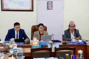 सिंहदरबारमा दुई संसदीय समिति एकसाथ सक्रिय 
