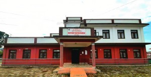 यातायात र मालपोतका १६ जना बिचौलियालाई पुलिसले बटार्यो