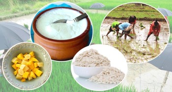 आज असार १५ राष्ट्रिय धान दिवस, किन आजै खाईन्छ दहीचिउरा ?