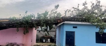 हावा हुण्डरीले घर भत्किँदा झापाको हल्दीबारीका ६५ वर्षीय मगरको मृत्यु