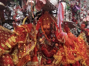 वैशाखमा मात्रै पाथीभरामा चढाईयो एक करोड छ लाख २८ हजार भेटी