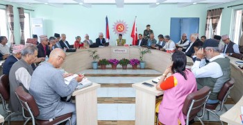ओलीले भण्डारीलाई भेटेरै पुकार्ने, तब मात्र निष्कर्षमा पुग्ने