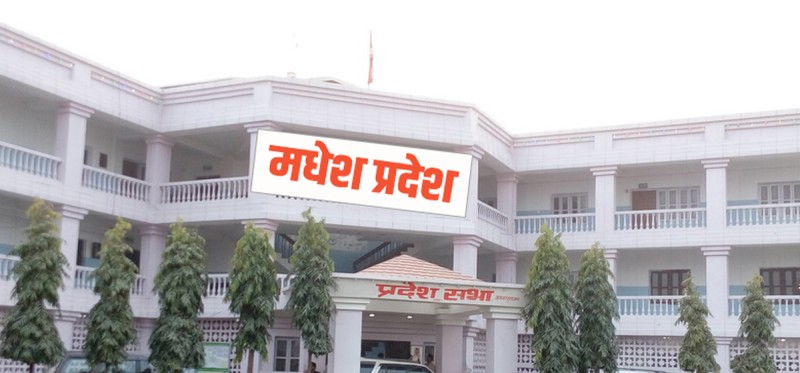 मधेस प्रदेशमा सभामुख र उपसभामुखको गाइजात्रा 
