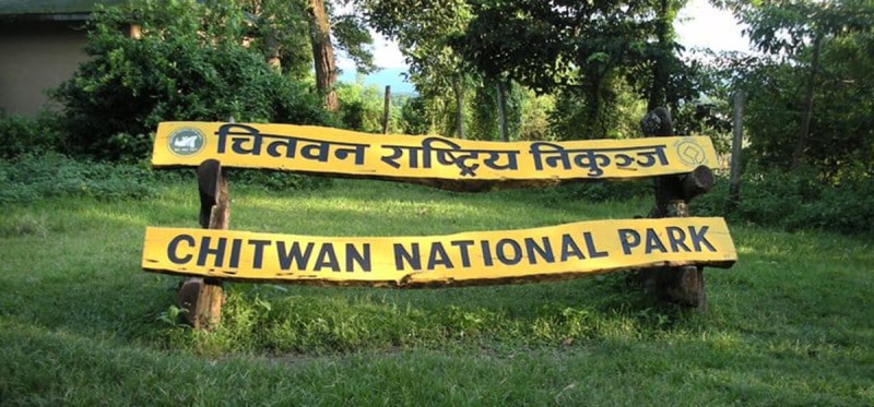 चितवन राष्ट्रिय निकुञ्जमा दुई सय २२ जनावरको उद्धार , ७६ जनावर मरे