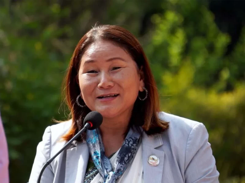 उपसभामुख मस्त निन्द्रामा हुँदा यता महाअभियोगको तयारी, किन गईन् अमेरिका ?