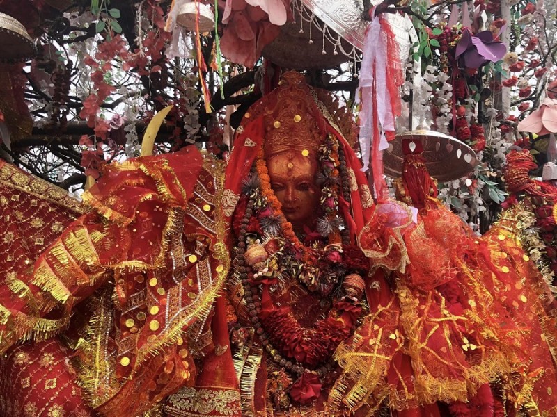 वैशाखमा मात्रै पाथीभरामा चढाईयो एक करोड छ लाख २८ हजार भेटी