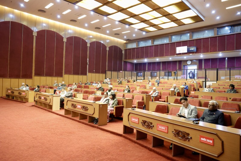 राष्ट्रियसभाका माननीय सरकारका गतिविधिदेखि वाक्क, उठाए यस्ता कुरा