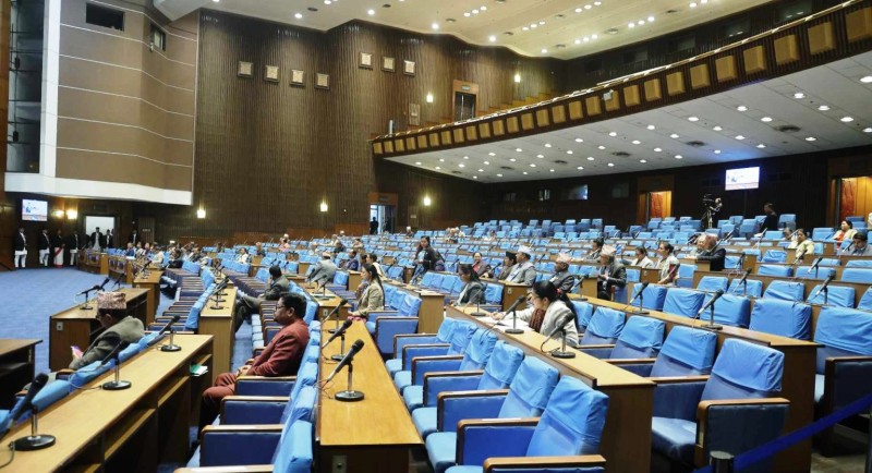 राष्ट्रपतिले सरकारको नीति तथा कार्यक्रम प्रस्तुत गर्ने, ओली सरकारले फूलबुट्टा भर्ने